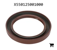 AGCO X550125001000 Сальник