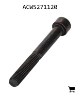AGCO ACW5271120 Винт с головкой Torx