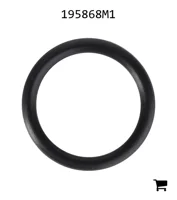 AGCO 195868M1 Уплотнительное кольцо