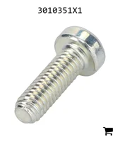 AGCO 3010351X1 Винт с потайной головкой