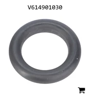 AGCO V614901030 Уплотнительное кольцо крышки головки цилиндра