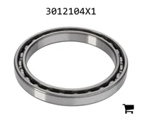 AGCO 3012104X1 Шариковый подшипник трансмиссии