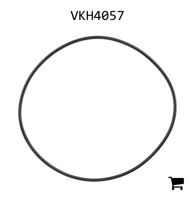 AGCO VKH4057 Уплотнительное кольцо