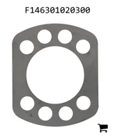 AGCO F146301020300 Диск