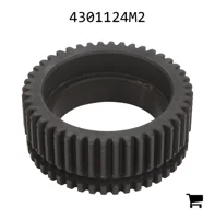 AGCO 4301124M2 Планета