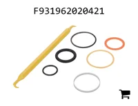 AGCO F931962020421 Ремкомплект