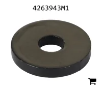 AGCO 4263943M1 Шайба