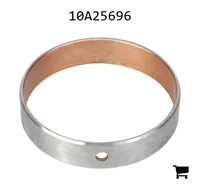 AGCO 10A25696 Втулка
