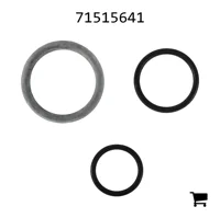 AGCO 71515641 Ремкомплект