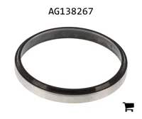 AGCO AG138267 Масляный сальник