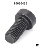 AGCO 16050435 Винт