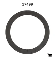 AGCO 17400 Шайба