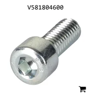 AGCO V581804600 Винт с шестигранной головкой