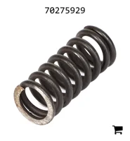 AGCO 70275929 Пружина