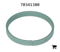 AGCO 70341380 Полоса