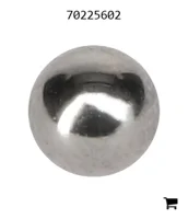 AGCO 70225602 Шар