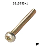 AGCO 3015283X1 Винт с полукруглой головкой
