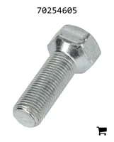 AGCO 70254605 Болт
