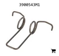 AGCO 3900543M1 Пружина