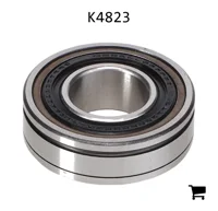 AGCO K4823 Цилиндрический шариковый подшипник