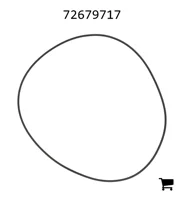 AGCO 72679717 Уплотнительное кольцо