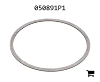 AGCO 050891P1 Шайба