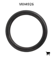 AGCO VKH4926 Уплотнительное кольцо