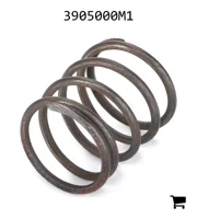 AGCO 3905000M1 Пружина