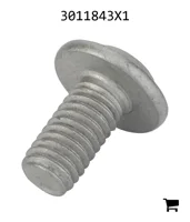 AGCO 3011843X1 Винт с полукруглой головкой