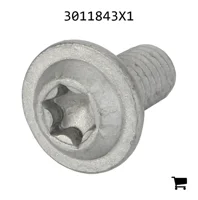 AGCO 3011843X1 Винт с полукруглой головкой