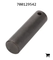 AGCO 700129542 Вал