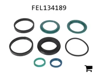 AGCO FEL134189 Комплект уплотнений