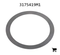 AGCO 3175419M1 Шайба