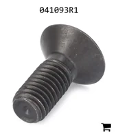 AGCO 041093R1 Болт