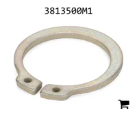 AGCO 3813500M1 Стопорное кольцо
