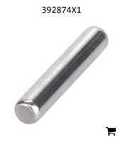 AGCO 392874X1 Игольчатый подшипник