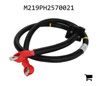 AGCO M219PH2570021 Трос