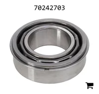 AGCO 70242703 Цилиндрический шариковый подшипник