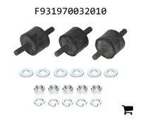 AGCO F931970032010 Комплект