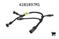 AGCO 4281897M1 Жгут