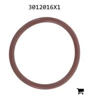 AGCO 3012016X1 Уплотнительное кольцо