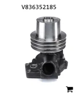 AGCO V836352185 Водяной насос с шкивом