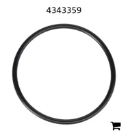 AGCO 4343359 Сальник