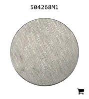 AGCO 504268M1 Клапан