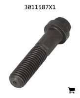 AGCO 3011587X1 Винт с 12-гранной головкой с фланцем