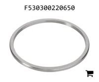 AGCO F530300220650 Шайба