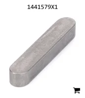 AGCO 1441579X1 Параллельный шпоночный паз