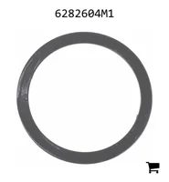 AGCO 6282604M1 Уплотнительная шайба