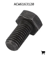 AGCO ACW6163120 Болт с шестигранной головкой
