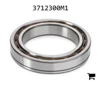 AGCO 3712300M1 Подшипниковый узел сцепления